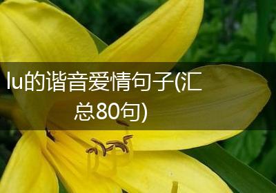 lu的谐音爱情句子(汇总80句)