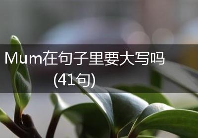 Mum在句子里要大写吗(41句)