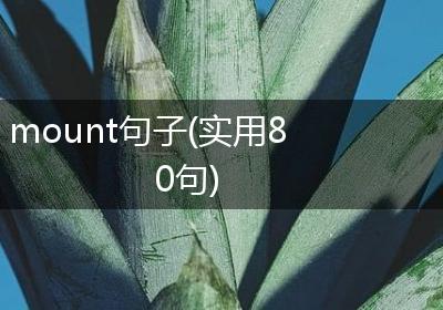 mount句子(实用80句)