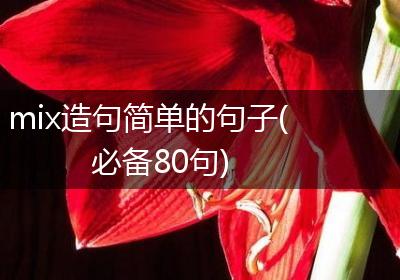 mix造句简单的句子(必备80句)