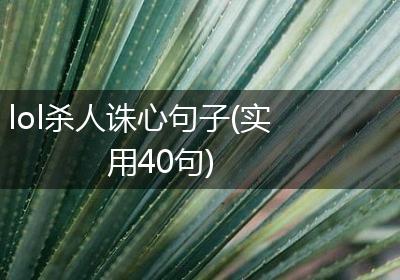 lol杀人诛心句子(实用40句)