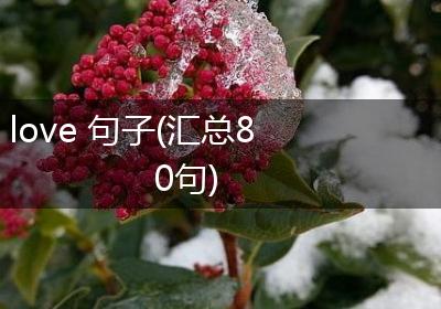 love 句子(汇总80句)