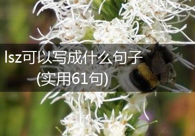 lsz可以写成什么句子(实用61句)