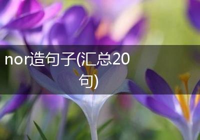 nor造句子(汇总20句)