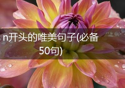 n开头的唯美句子(必备50句)