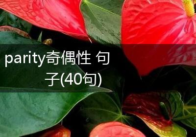 parity奇偶性 句子(40句)