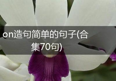 on造句简单的句子(合集70句)