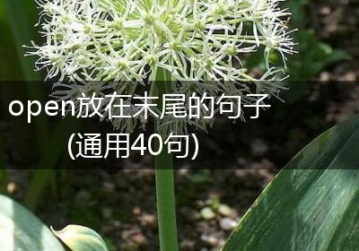 open放在末尾的句子(通用40句)