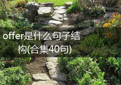 offer是什么句子结构(合集40句)