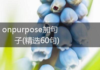 onpurpose加句子(精选60句)