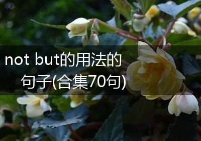 not but的用法的句子(合集70句)