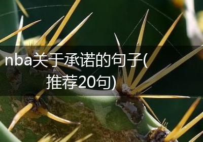 nba关于承诺的句子(推荐20句)