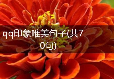 qq印象唯美句子(共70句)
