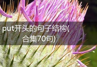put开头的句子结构(合集70句)