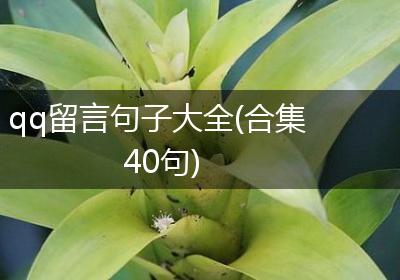 qq留言句子大全(合集40句)