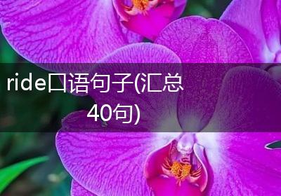 ride口语句子(汇总40句)