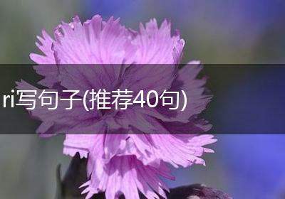ri写句子(推荐40句)