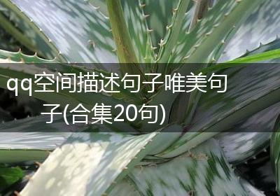 qq空间描述句子唯美句子(合集20句)