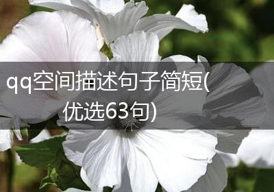 qq空间描述句子简短(优选63句)