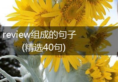 review组成的句子(精选40句)
