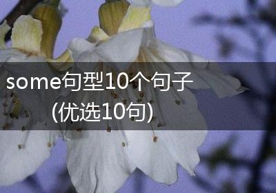 some句型10个句子(优选10句)
