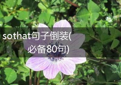 sothat句子倒装(必备80句)