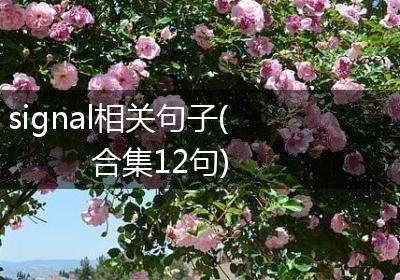 signal相关句子(合集12句)