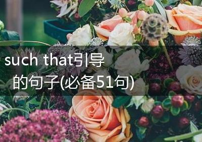 such that引导的句子(必备51句)