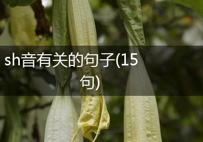 sh音有关的句子(15句)