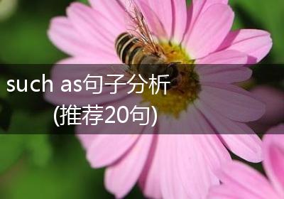 such as句子分析(推荐20句)