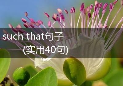 such that句子(实用40句)
