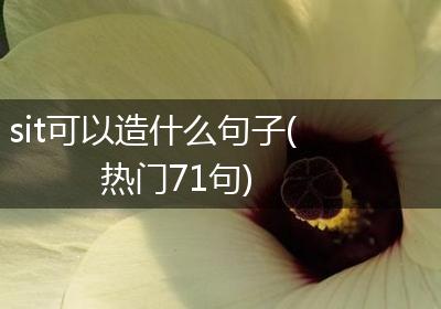 sit可以造什么句子(热门71句)