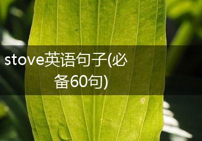 stove英语句子(必备60句)