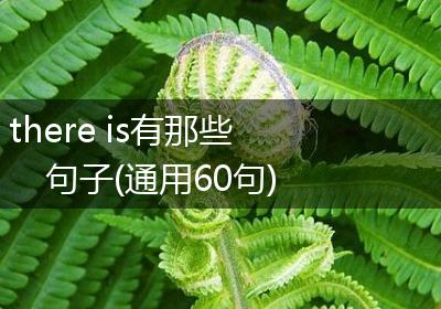 there is有那些句子(通用60句)