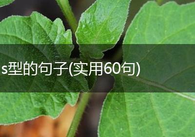 s型的句子(实用60句)