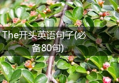 The开头英语句子(必备80句)