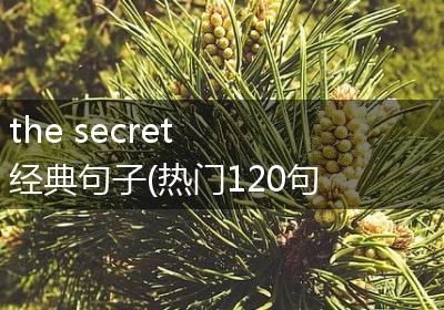 the secret 经典句子(热门120句)
