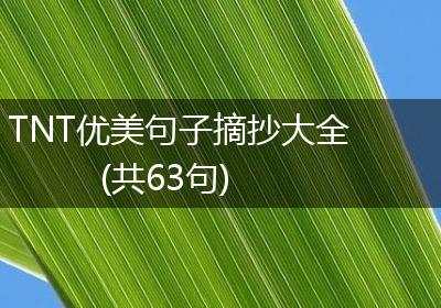 TNT优美句子摘抄大全(共63句)