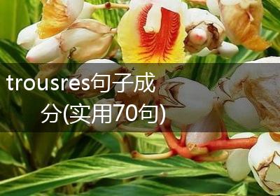 trousres句子成分(实用70句)