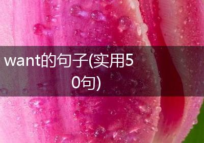 want的句子(实用50句)