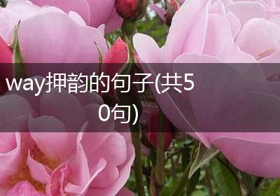 way押韵的句子(共50句)