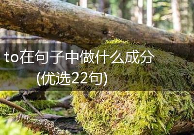 to在句子中做什么成分(优选22句)