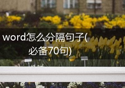 word怎么分隔句子(必备70句)