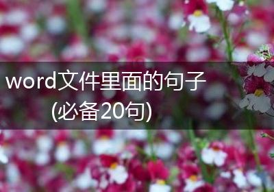 word文件里面的句子(必备20句)