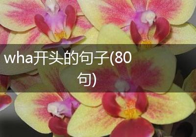 wha开头的句子(80句)