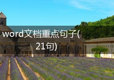 word文档重点句子(21句)
