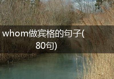 whom做宾格的句子(80句)