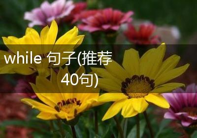 while 句子(推荐40句)
