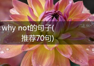 why not的句子(推荐70句)
