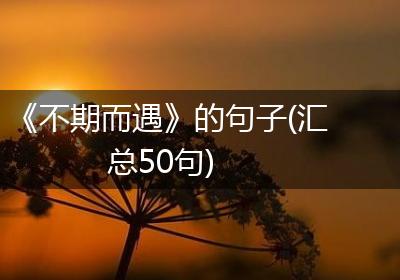 《不期而遇》的句子(汇总50句)